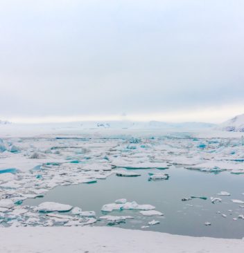 A la découverte de l’antarctique en croisière