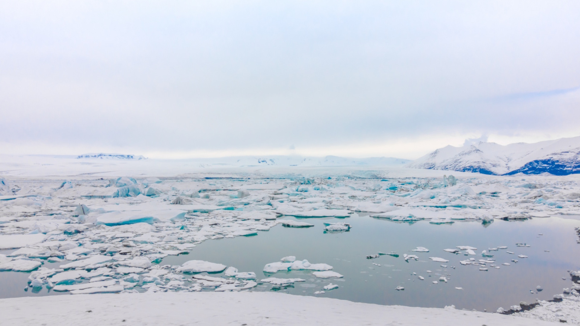 A la découverte de l’antarctique en croisière